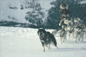 急にお休みになった日曜日