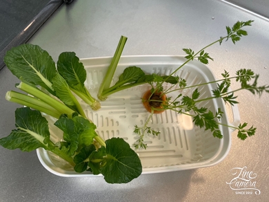 野菜たちのすごい生命力